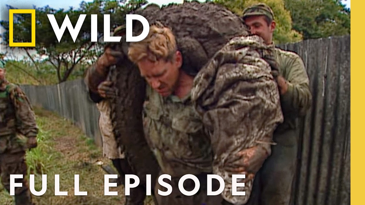 Inside Dens of Danger (Full Episode) | Dangerous Encounters | Nat Geo Animals