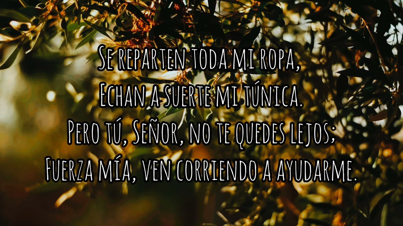 DIOS Mío, DIOS Mío, Por qué me has abandonado? | Salmo 22 | Domingo de Ramos