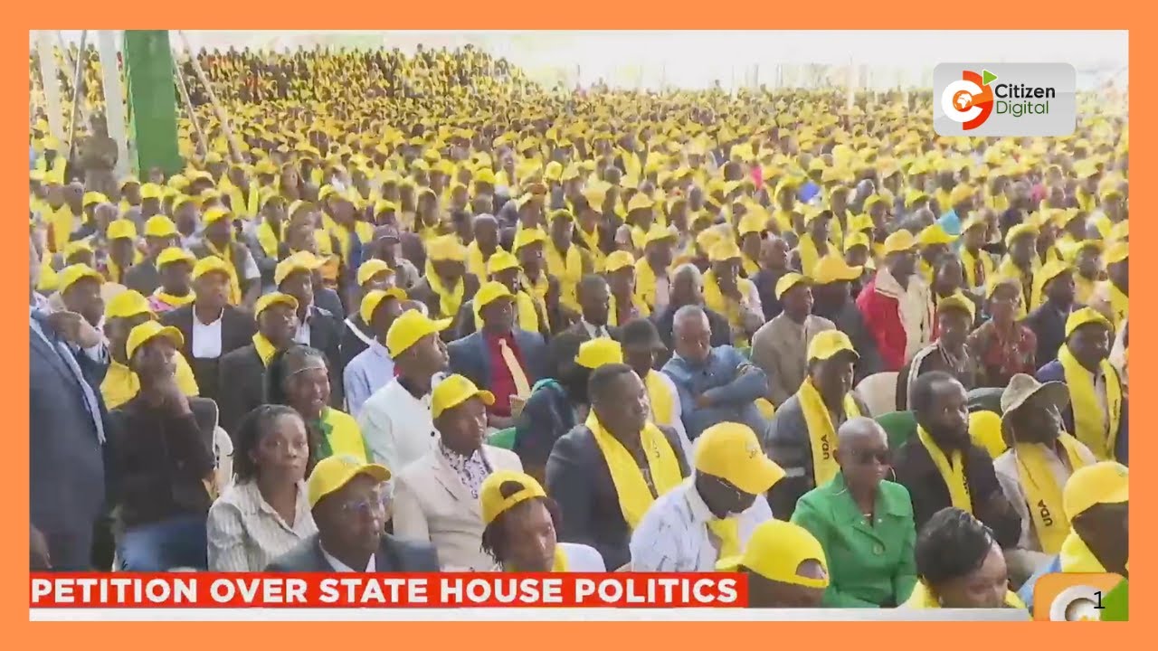 Lawyer files case against partisan politics at State House