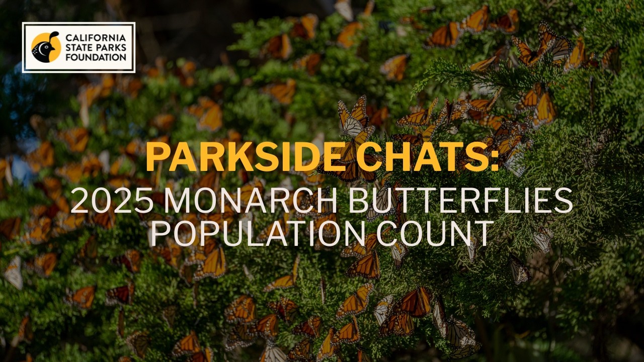 Parkside Chats: 2025 Monarch Butterfly Population Count