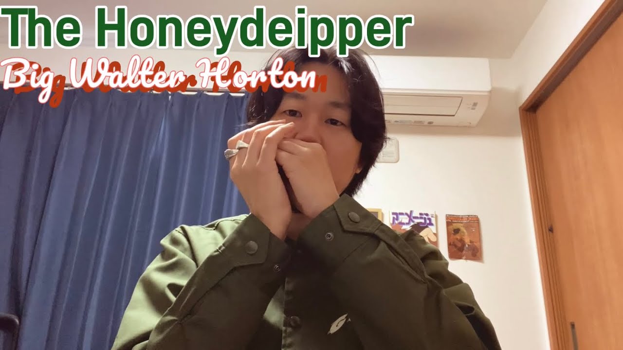 The Honeydripper - Big Walter Horton (cover) #blues #bluesharmonica #bluescover #harmonica #cover