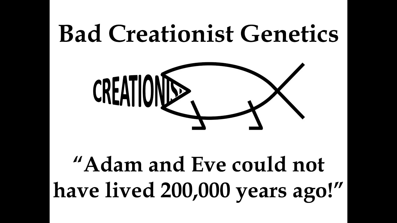 Bad Creationist Genetics: “Adam and Eve could not have lived 200,000 years ago!”