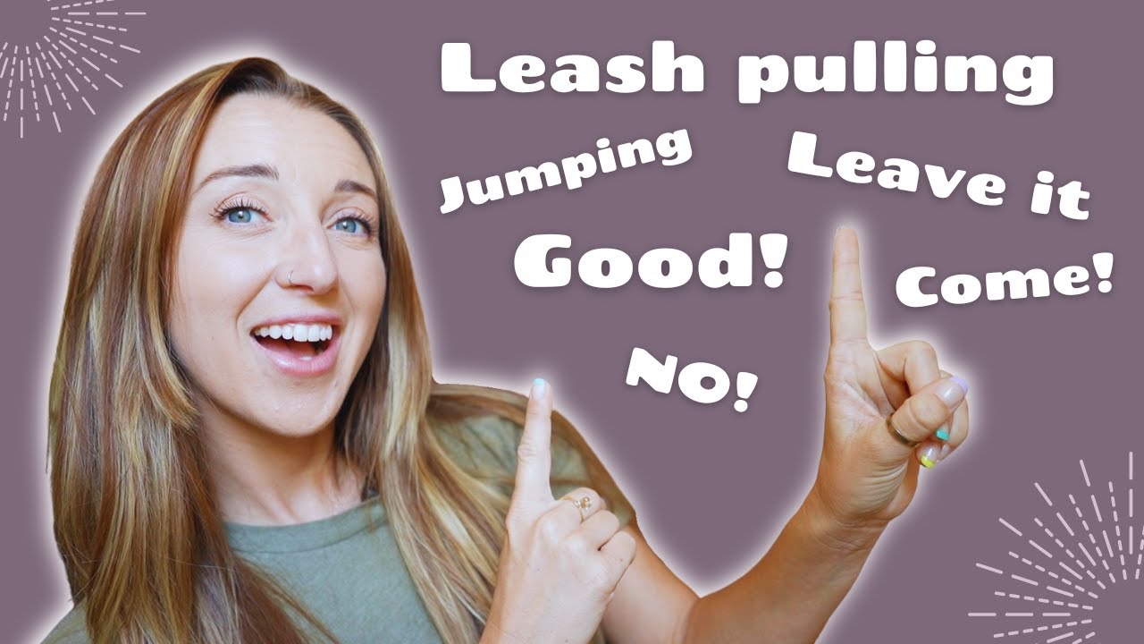 A Dog Trainers FAVORITE Commands!