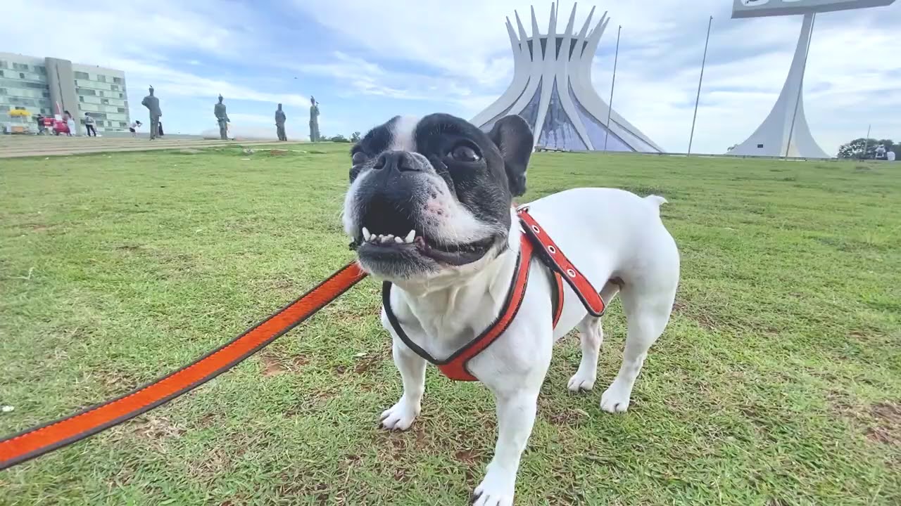Vlog da Kilica #3 - BRASÍLIA