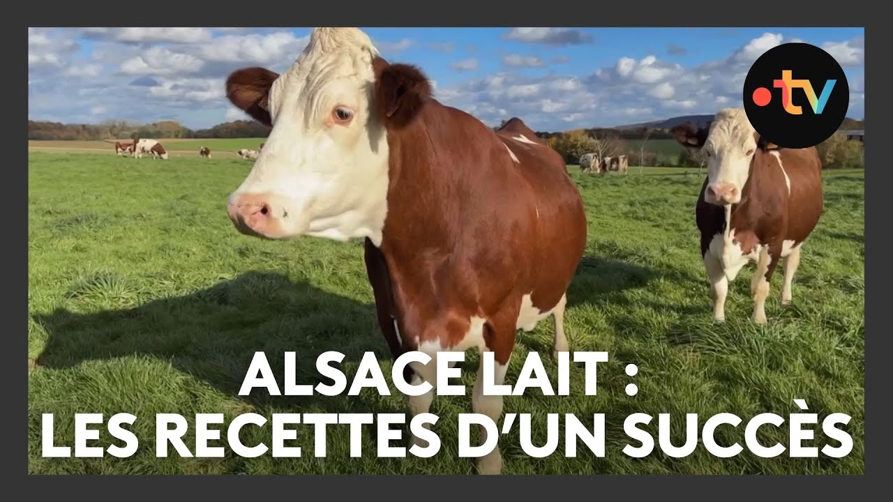 Alsace Lait : les recettes d'un succès