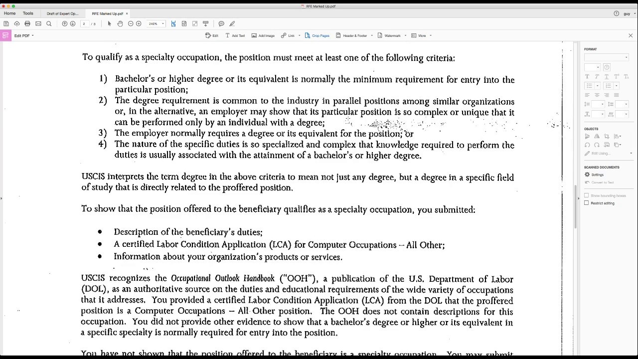 H1B RFE - Expert Opinion Letter - USCES.org