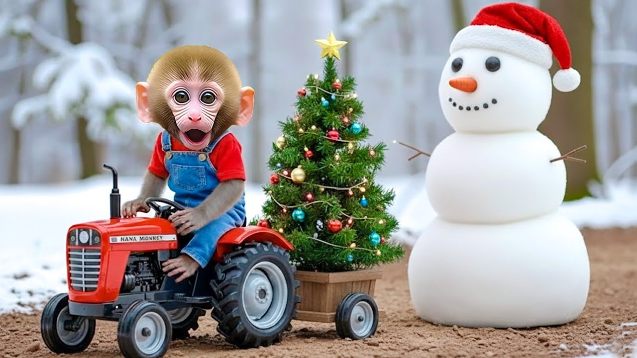 MACAQUINHO NANA e a aventura de Natal para encontrar a árvore de Natal – Nana Em Português