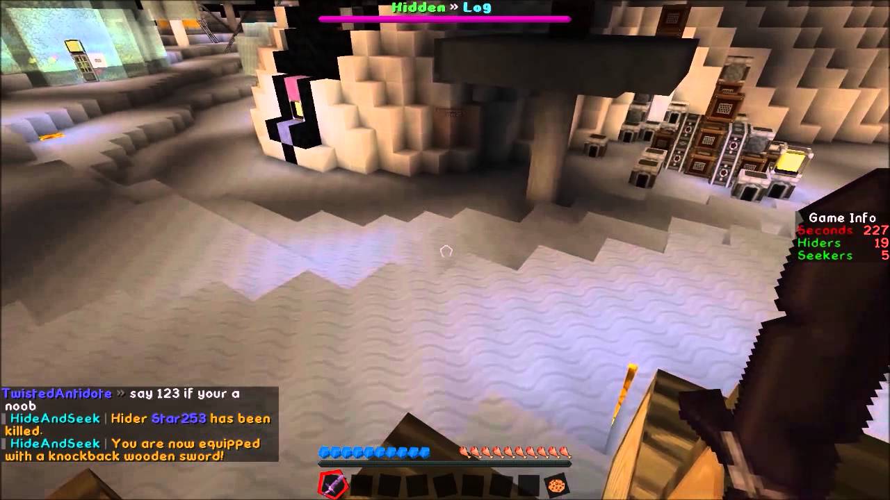 LetsPlayerin und Gamerin Minecraft Hide and Seek