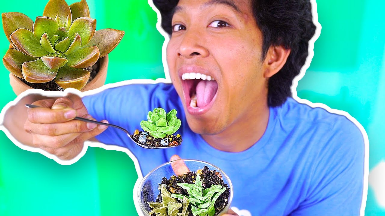 DIY Edible CANDY Succulent Terrarium