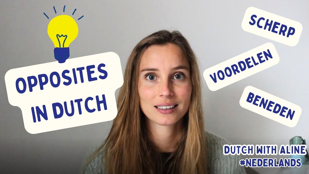 Dutch Vocabulary l Learn Important Opposites l NT2