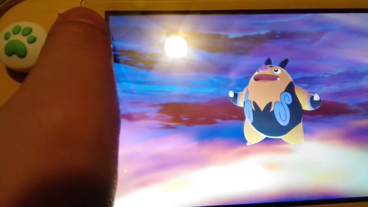 We found the shiny Tepig!(3/14)