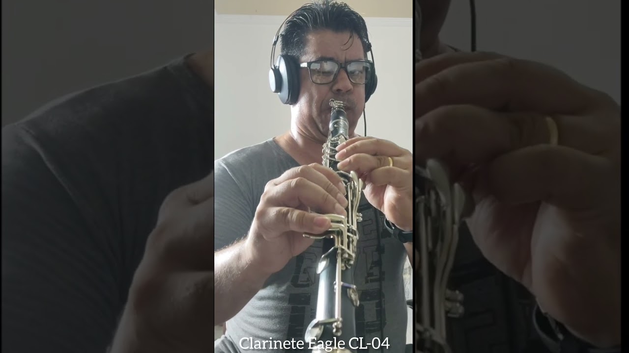 ( à Venda ) Clarinete Eagle ( Novíssima ) - Whatsapp (19)997724213 - Vinhedo sp.