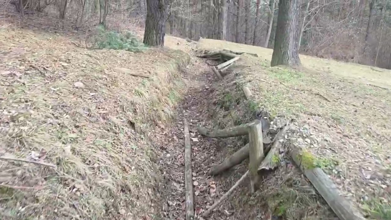 Piwnicza - Węgielnik
