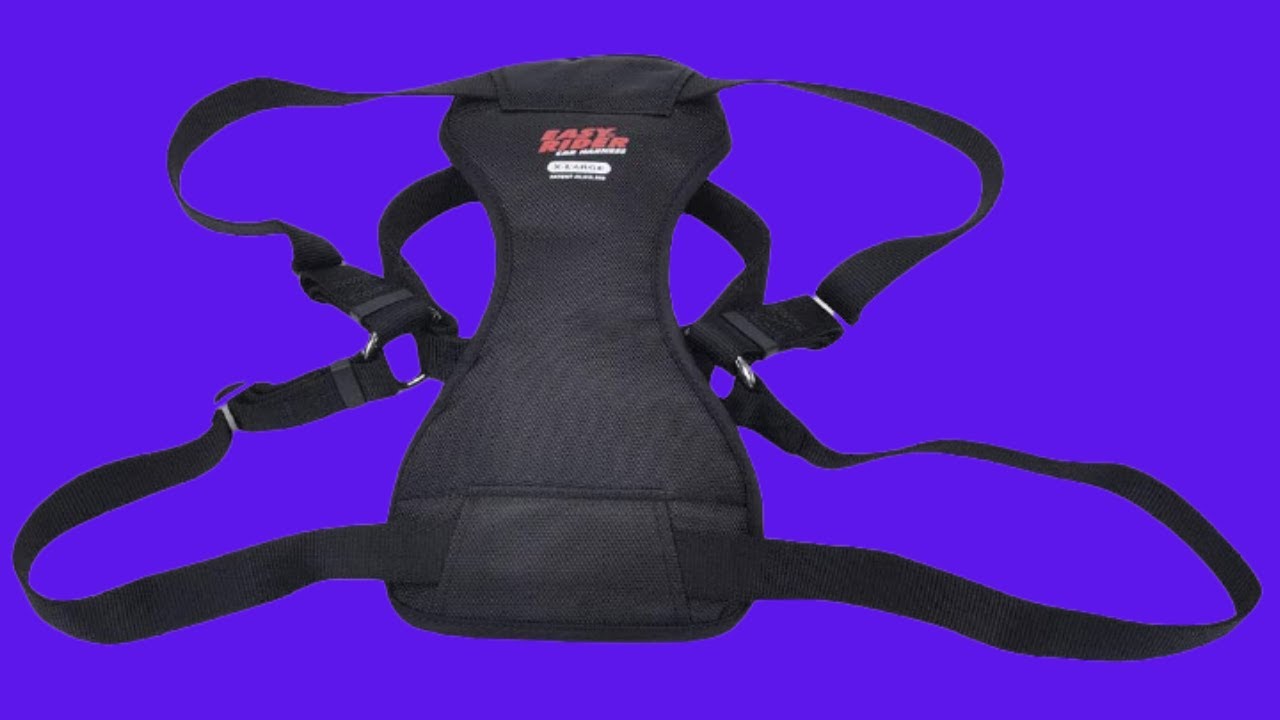 Before You Buy Coastal - Easy Rider - Adjustable Dog Car Harness