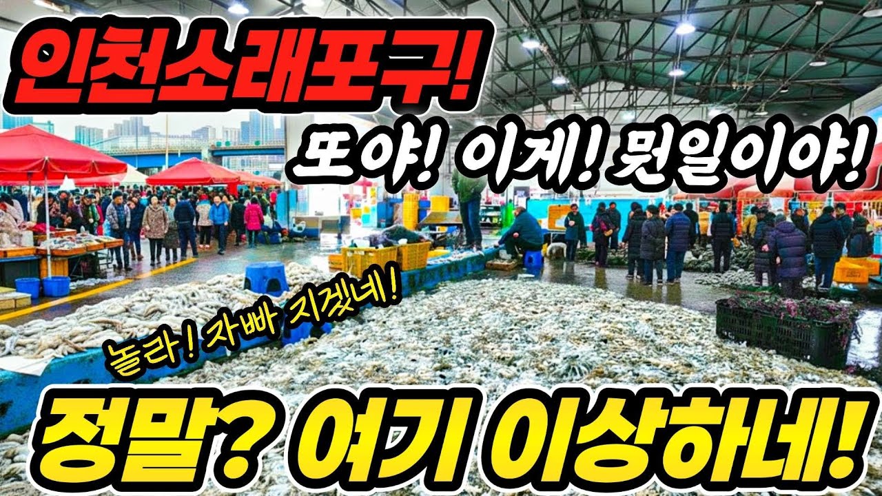 인천소래포구 또 뭔일 이야! 진짜! 여기 이상하네 놀라 자빠 지겠네! #소래포구 #인천 #서울 #강원도 #제주도 #뉴스 #쇼핑 #폭락 #국내산 #중국산