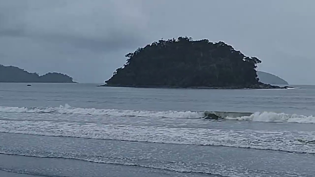 SURF REPORTER #041 de 9 de fevereiro de 2026