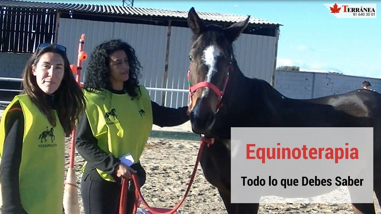 Equinoterapia: Beneficios | Terránea