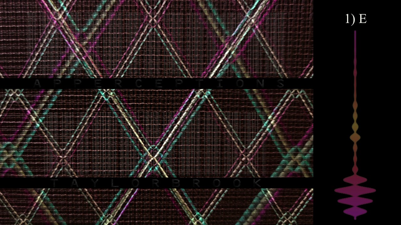 Apperceptions - microtonal music for retuned electric guitar and computer improviser