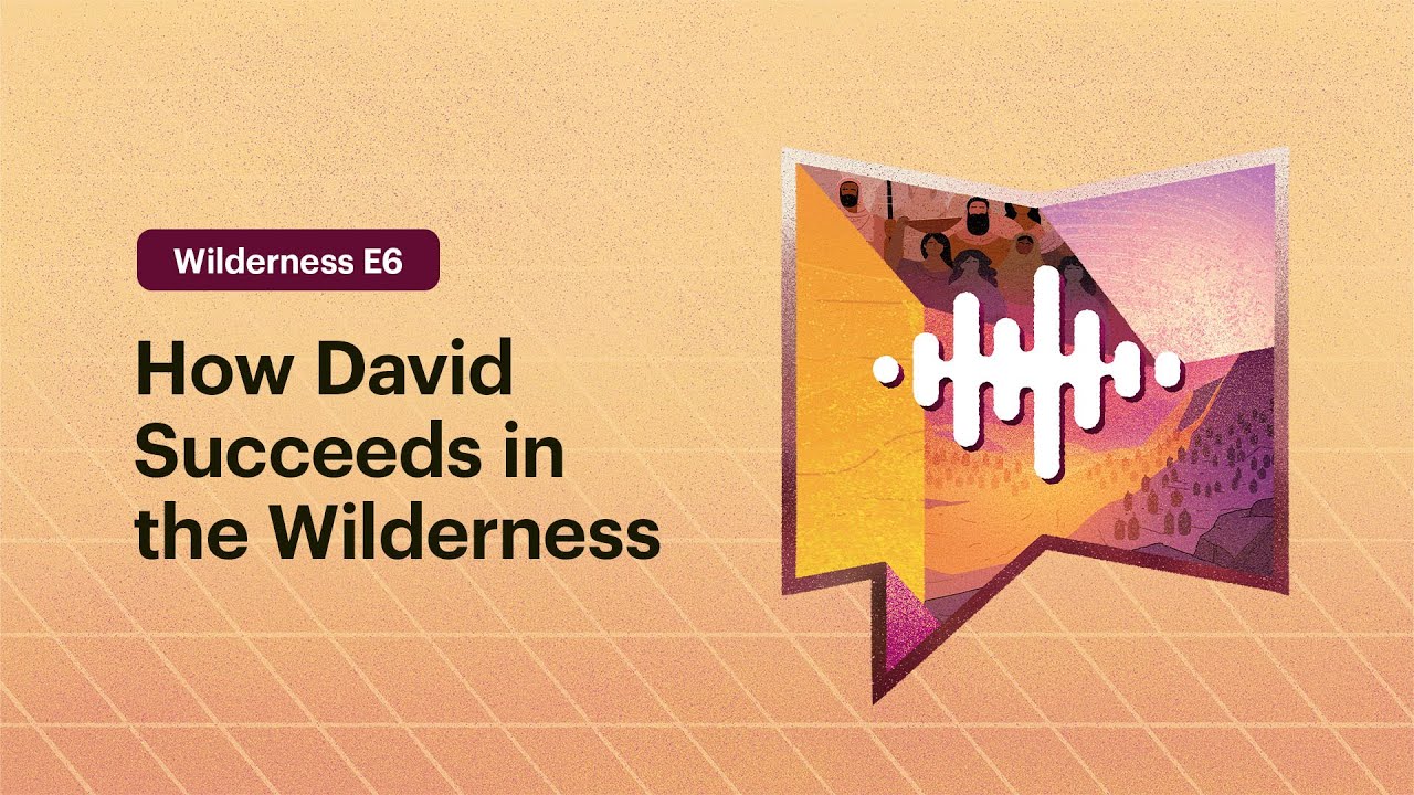 How David Succeeds in the Wilderness