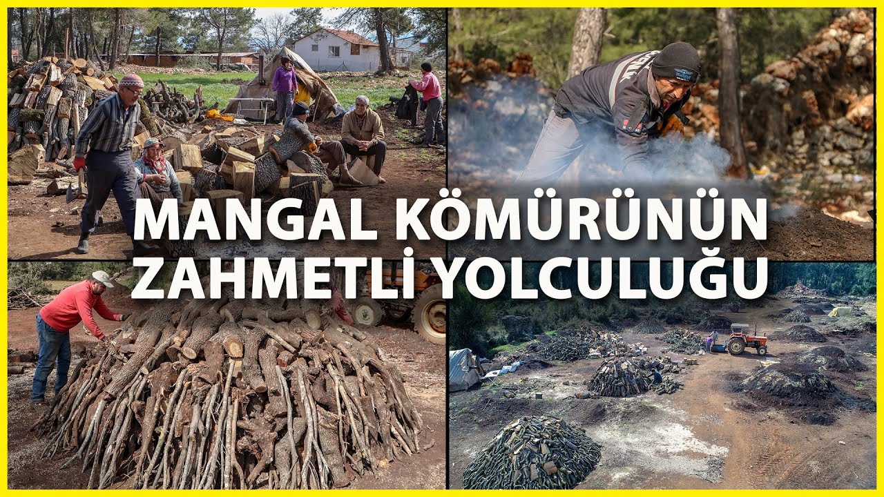 Mangal Kömürünün 'Zahmetli' Yolculuğu