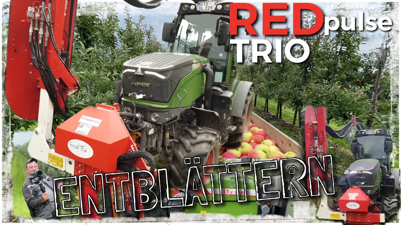 Obsthof Raddatz - FENDT 211V VARIO mit REDpulse TRIO I Der große Entblätterer von Fruit Tec