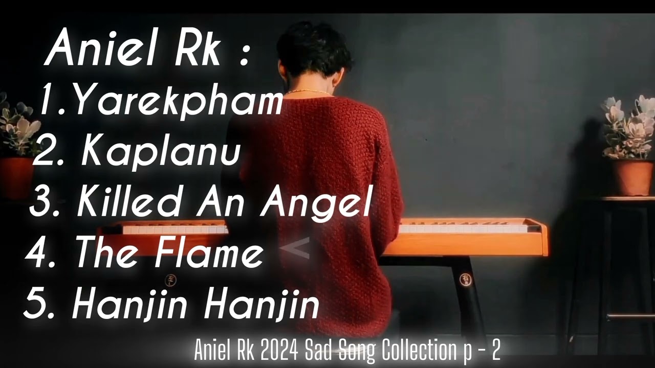 Aniel Rk Sad Song Collection Part - 2 | 2024 |