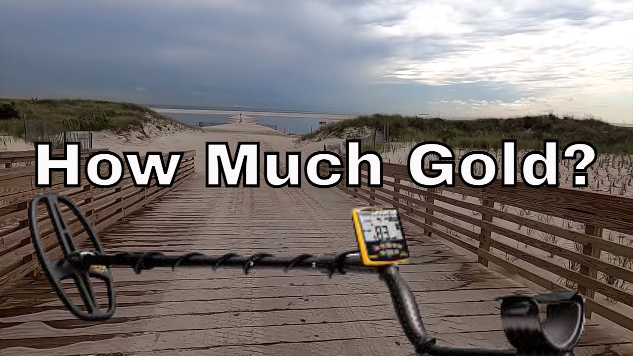 Garrett Apex Multi Salt Beach Metal Detecting: How Much Gold? Best Day 2020