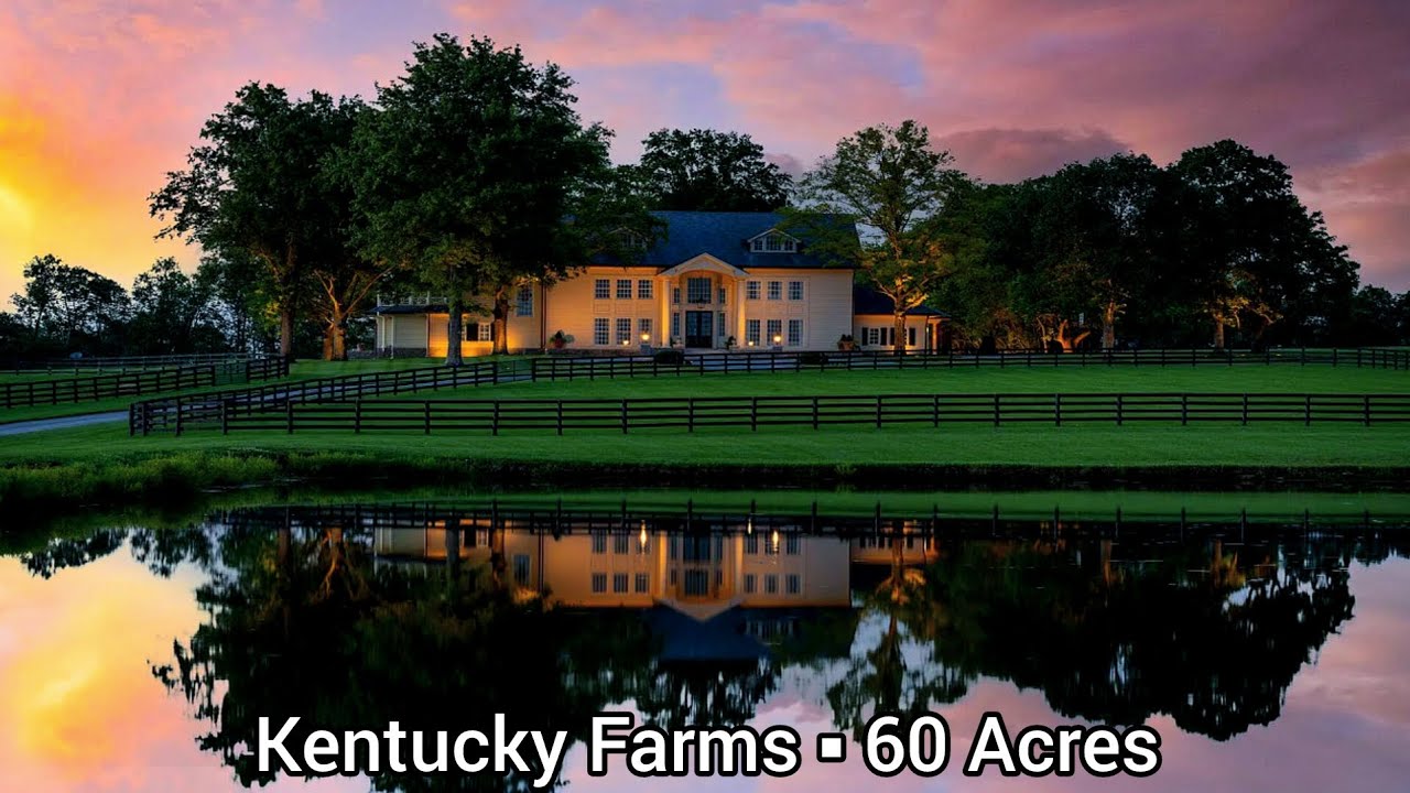 Kentucky Farms For Sale | 60 Acres | 100% Turnkey | Kentucky Land For Sale | Shared Pond