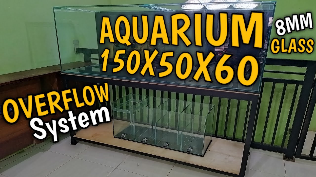 MEMBUAT AQUARIUM UKURAN 150X50X60❗LANGSUNG GARAP DITEMPAT