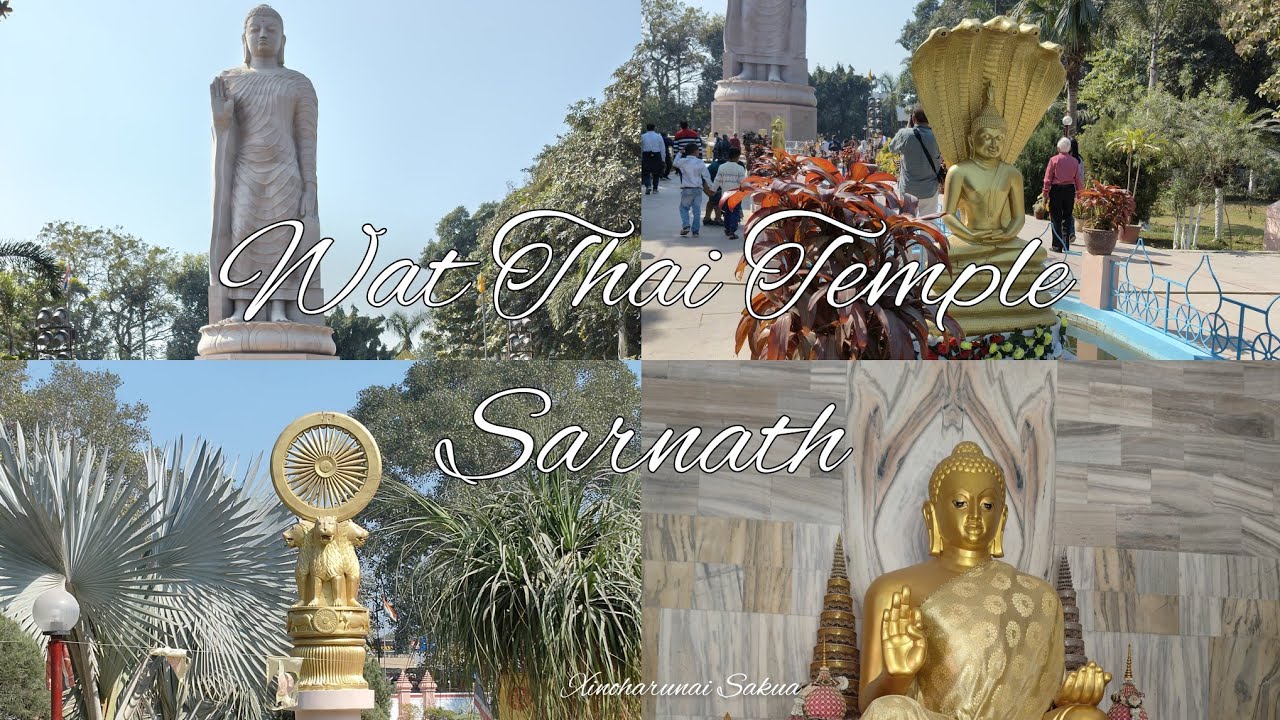 Wat Thai Temple Sarnath | A Cinematic Journey into Peace