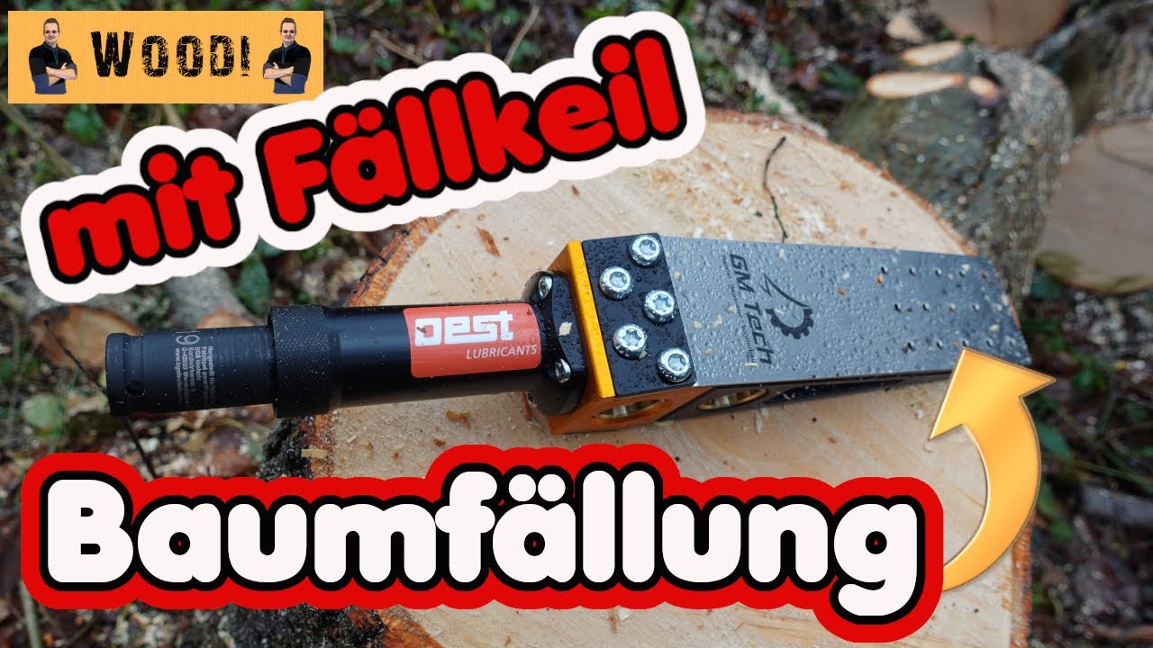 Premiere im Wald: Baumf&auml;llung mit dem mechanischem F&auml;llkeil - GM Tech FK20 by Oest! Stihl MS 261