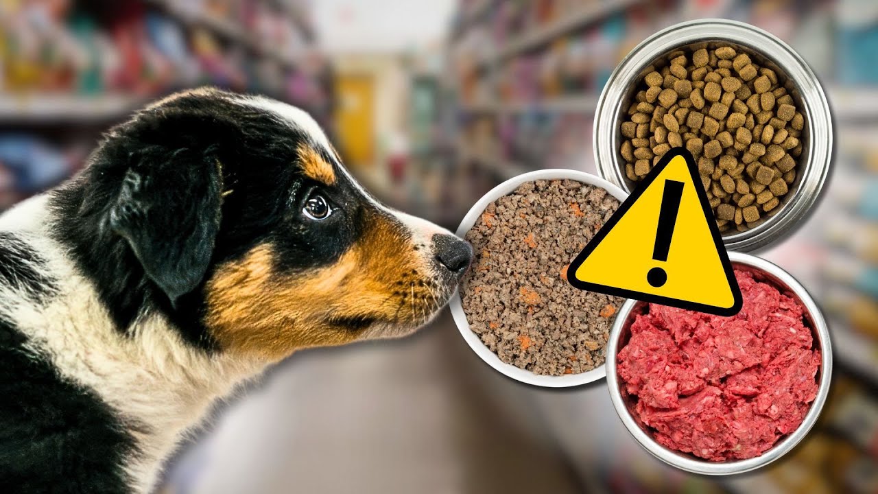 Before You Buy Puppy Food, WATCH THIS