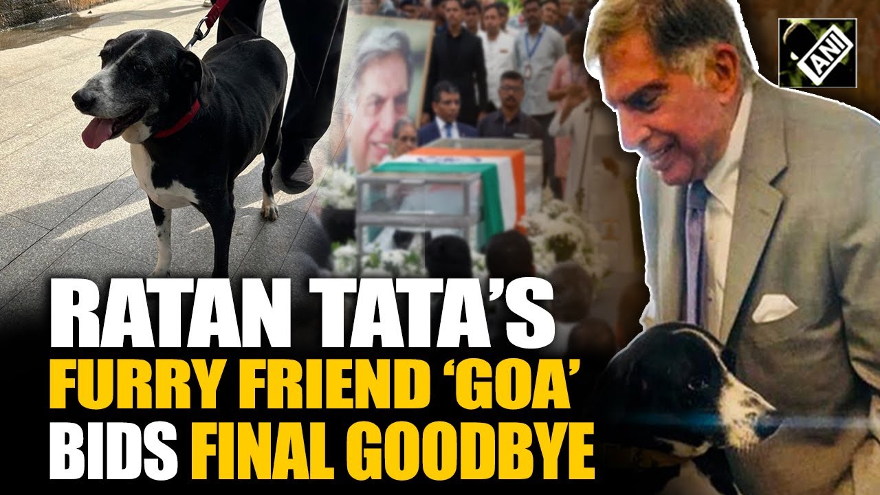 Ratan Tata’s ‘dear friend Goa’ bids final goodbye to the business tycoon