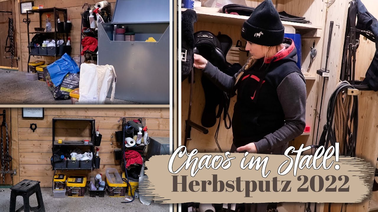 Chaotische Zustände im Stall | Herbstputz 2022 | BinieBo