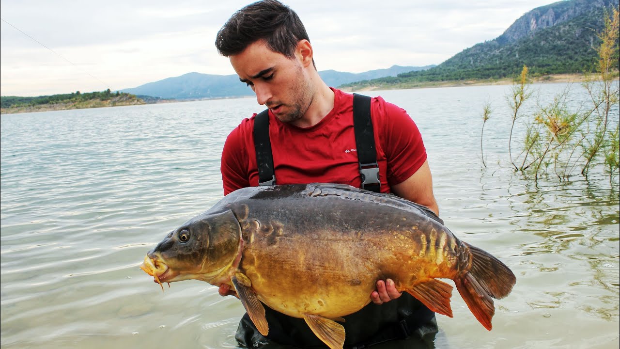 CARPFISHING BUENDIA 2021