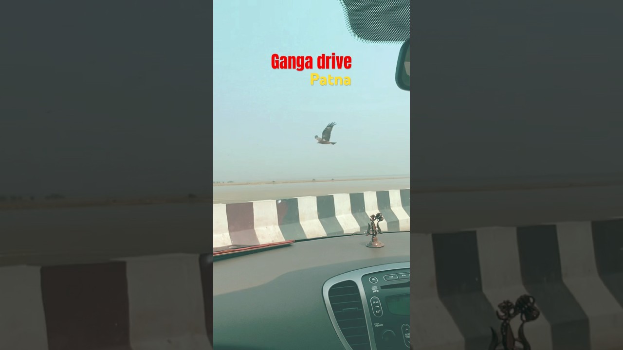 Ganga drive patna ❤️ #shortsviral  #ytshorts #gangadrive #jpgangapath