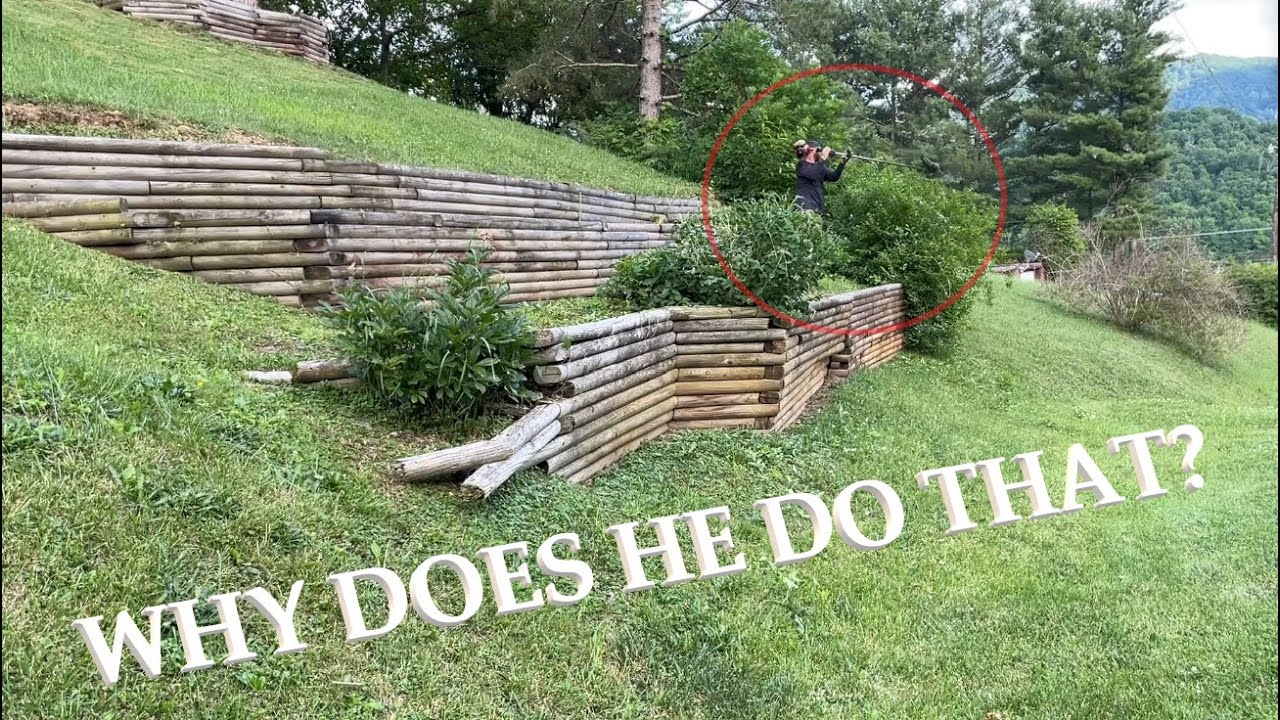 MAINTENANCE on OVERGROWN Retaining Walls