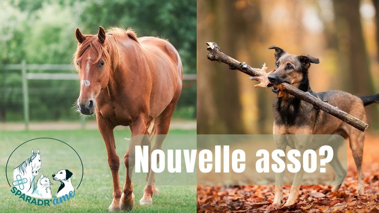 Une nouvelle association?