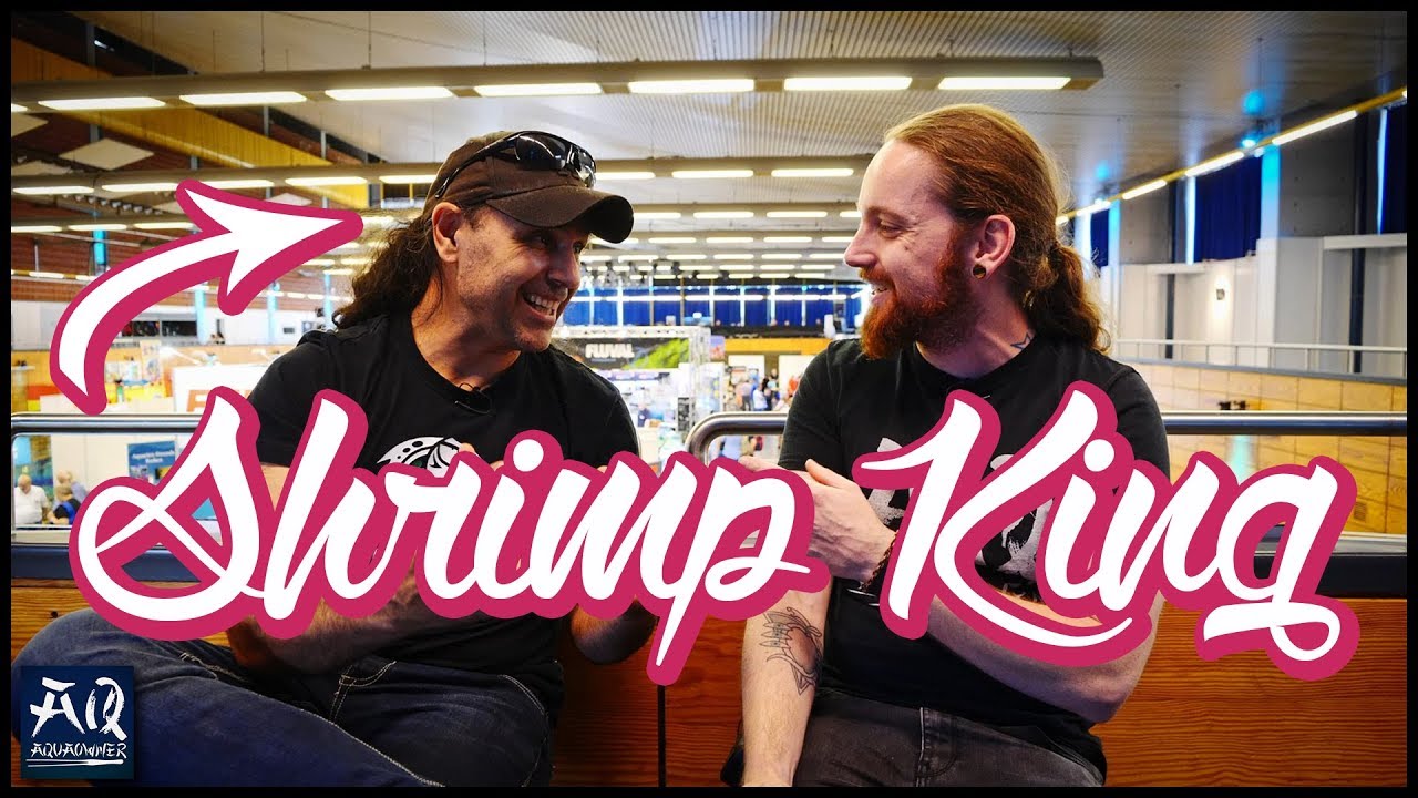 Shrimp King Chris Lukhaup im Interview | AquaOwner