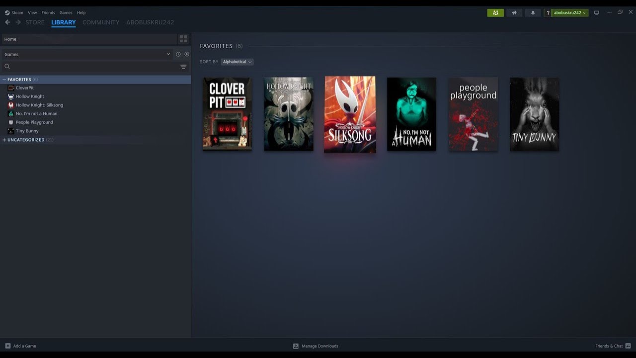HOLLOW KNIGHT & SILKSONG STEAM ACCOUNT