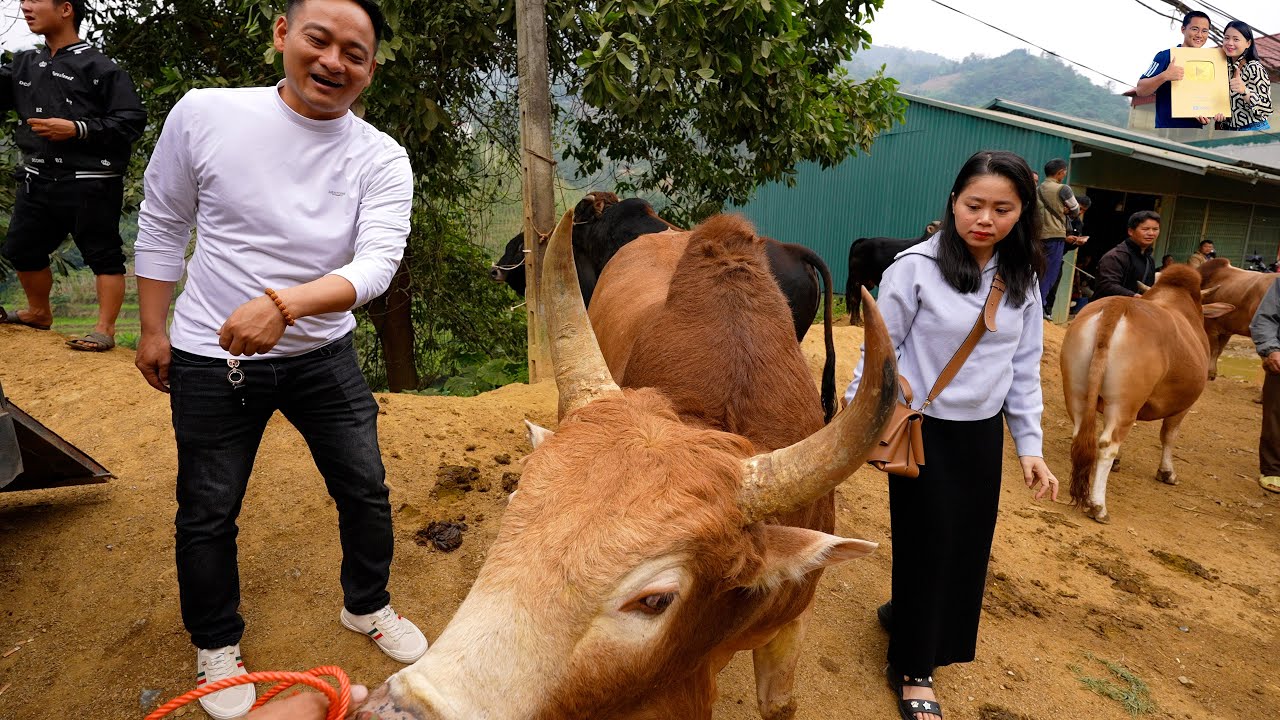 Bất ngờ gặp Chợ Bò vùng cao Bảo Lâm ăn Vịt Quay da giòn siêu ngon ở Cao Bằng cùng A Tú Xe Đầu Kéo
