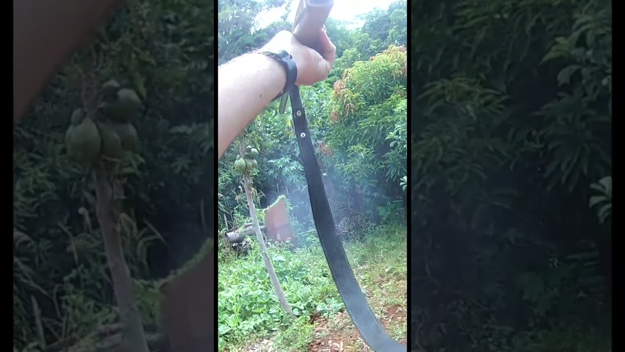 Tiro Espingarda Rossi 28 Disparo balote e chumbo fino #Shorts