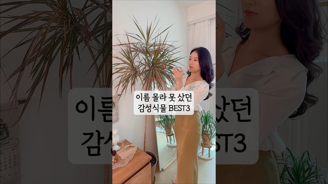 예쁜데 키우기 쉬운 감성식물 3가지🥰 #살림브이로그 #아파트인테리어 #살림