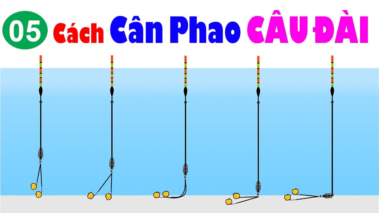 05 Cách Cân Phao Câu Đài Cực Kỳ Dễ Hiểu Cho Người Mới Tập Câu 👉 Hướng Dẫn Cân Phao Câu Đài 2023