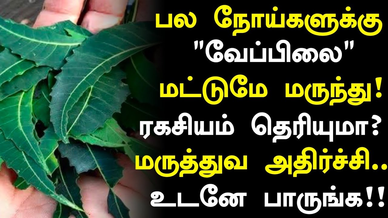 நோய் குணமாக்கும் வேப்பிலை! | Neem Leaves Health Benefits in Tamil| Neem Leaves Health Tips in Tamil 
