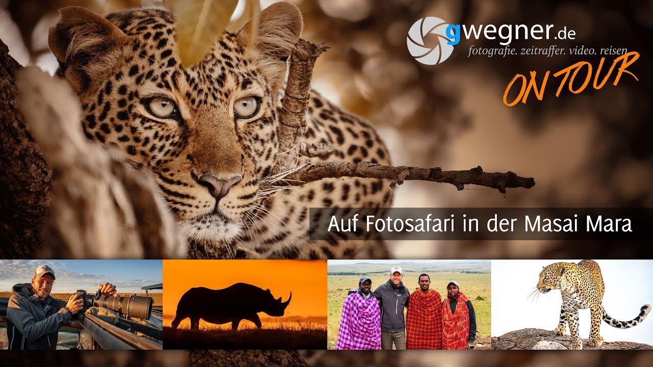 Auf Fotosafari in der Masai Mara