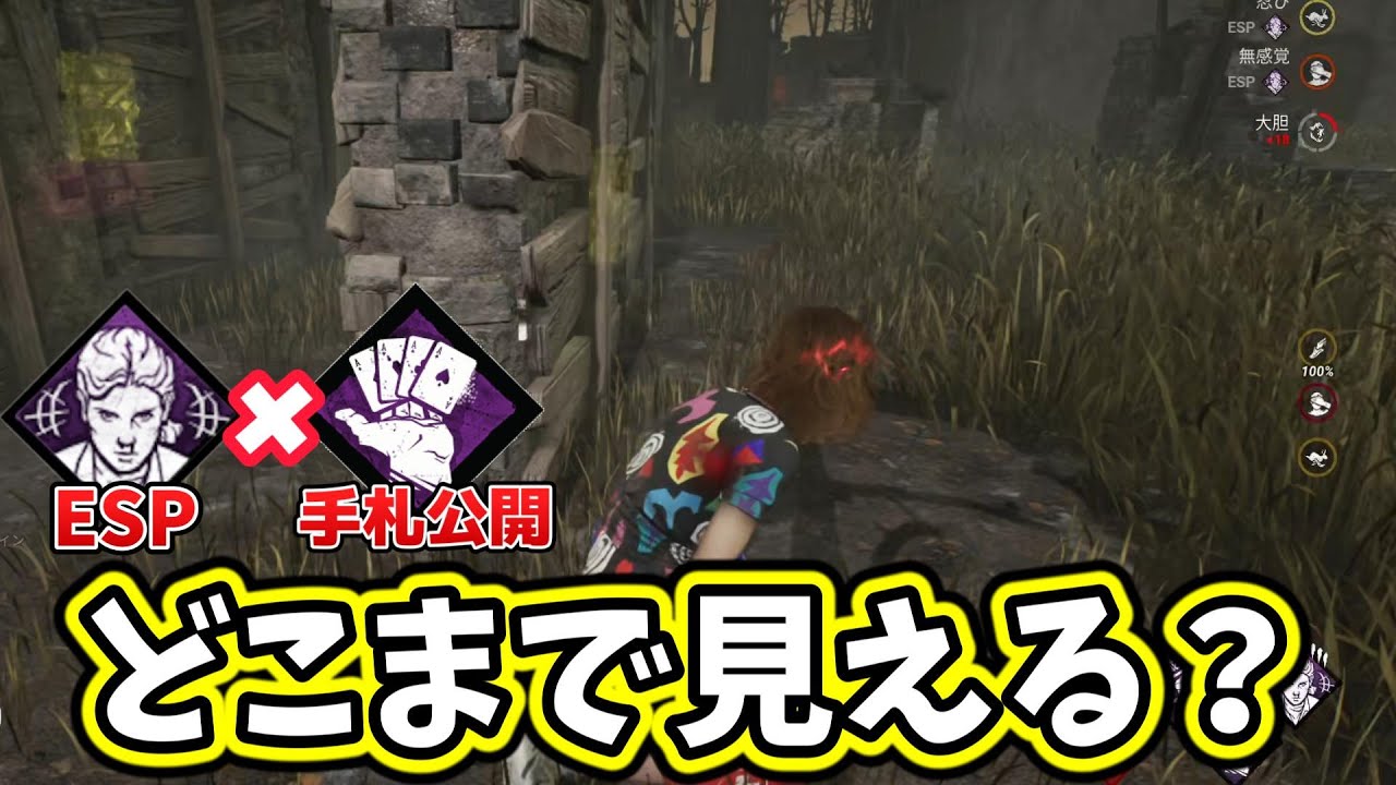 【DBD】どこまで見える？ESP×手札公開【Dead by Daylight】