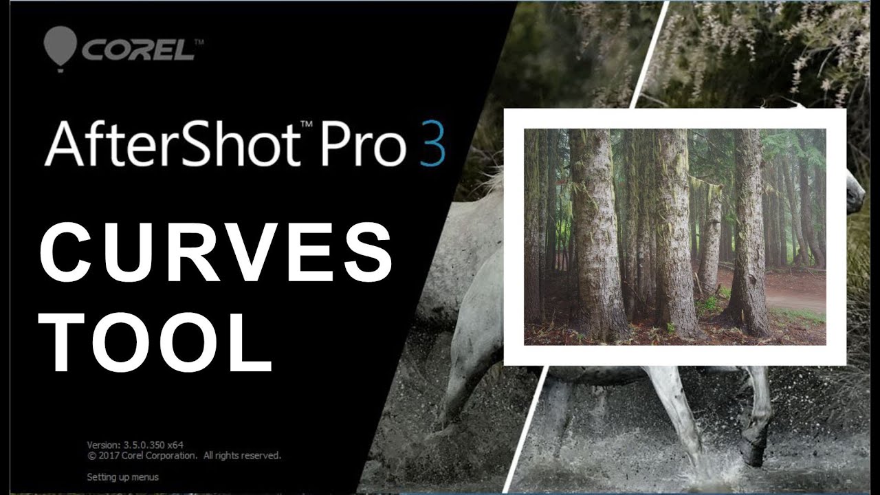 COREL AFTERSHOT PRO - CURVES TOOL (Levels/Contrast)