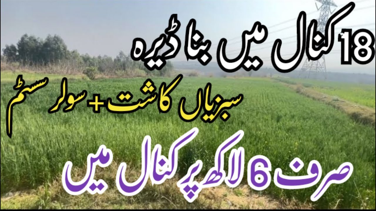 18 Kanal Beautiful Farmhouse with Vegetable Farming & Solar System | Only 6 Lakh per Kanal