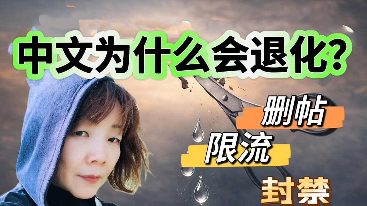 当语言开始退化：审查、平台与中文表达空间的收缩